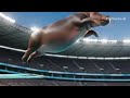 IMPOSSIBLE High Dive AI Animal Olympics 2026