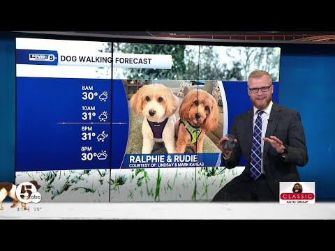 Dog Walking Forecast: Slushy paws today... I'm tracking snow - YouTube
