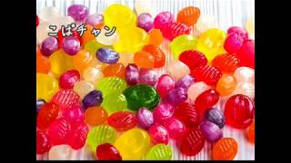 ここちゃんの１日ルーティンだぞ！あと少しで年越しだ～👍️