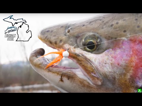 Michigan Steel The Official Movie