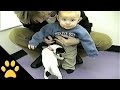 Dogs Vs Crotches Compilation