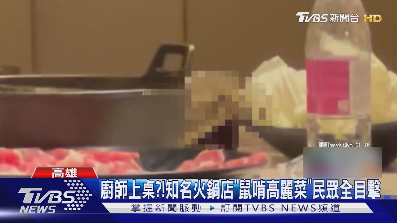 知名火鍋店遇「吃素老鼠」! 網笑:大廚跑出來了