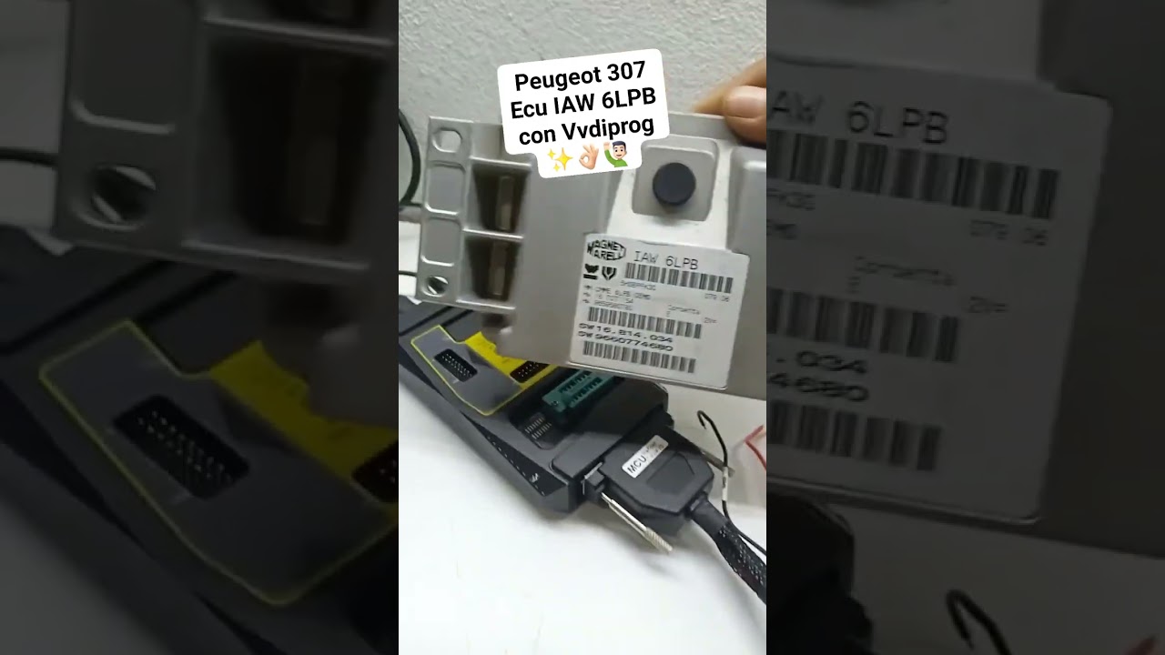 Peugeot 307 Ecu IAW 6LPB