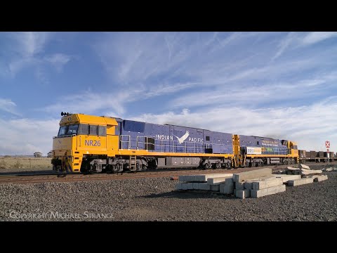 7XM4 Pacific National Steel & Container Train (11/5/2025) - PoathTV Australian Trains & Railways