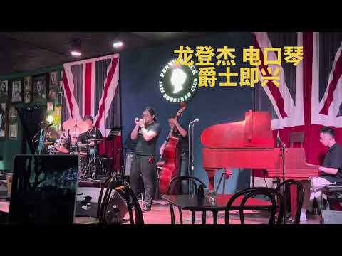 HM12 digital harmonica solo Long Deng Jie