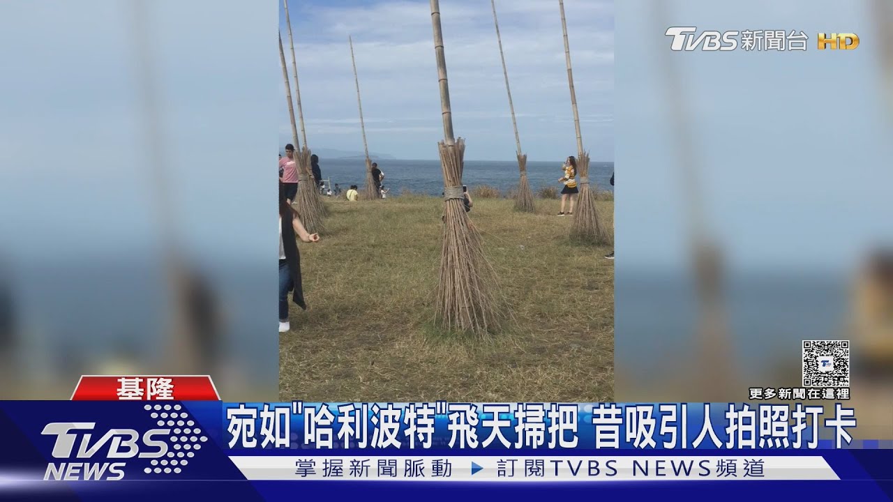 不敵楊柳颱風摧殘 基隆潮境公園「掃把救星」剩9枝不再修復
