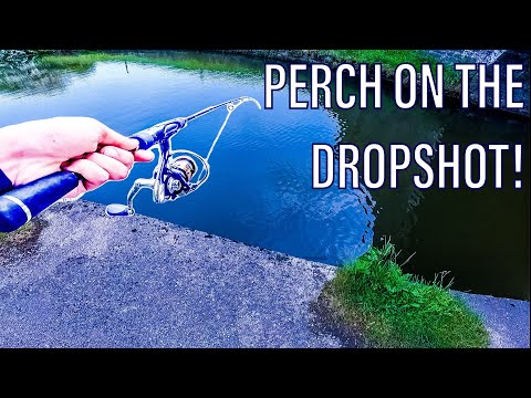 Dropshot Fishing For Perch on The Leeds Liverpool Canal 🎣 🛥 (4K)