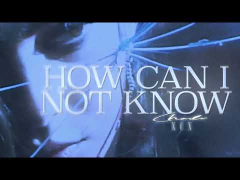 Charli XCX - How Can I Not Know What I Need Right Now