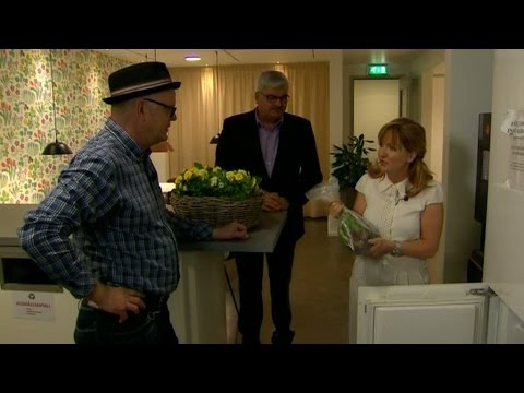 April, april - här lurar Malou tittarna! - Malou Efter tio (TV4)