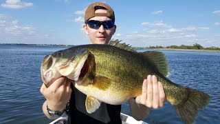 Monster Big Bass Caught by Fishing Freaks