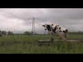 PAS-boeren bezorgd over openbaar worden adresgegevens