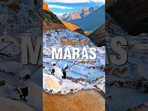 Aquí se produce la famosa sal de Maras, una sal muy nutritiva y de gran calidad 😲🔅🤍 #cusco #maras