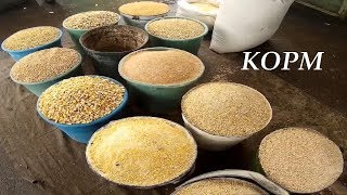 Как правильно откармливать поросят на мясо
