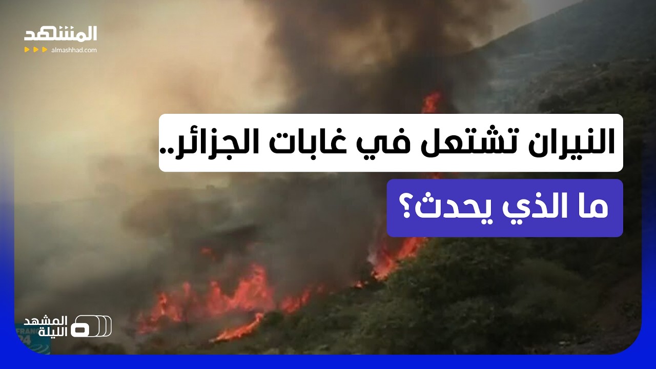غابات الجزائر.. نيران الحرائق تتمدد والسلطات تسخر كل الإمكانيات.. فهل نحن أما?