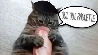 A ripe Blackberry murmures to the wall | Une mure mure murmur | Google Translation Meme