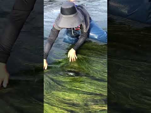 Reel tagged #fish