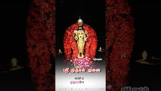 Download lagu 🦚🦚🦚🙏🏻🙏🏻🦚enakkum idam undu murugan song whatsapp status🦚🦚🦚🙏🏻🙏🏻 mp3