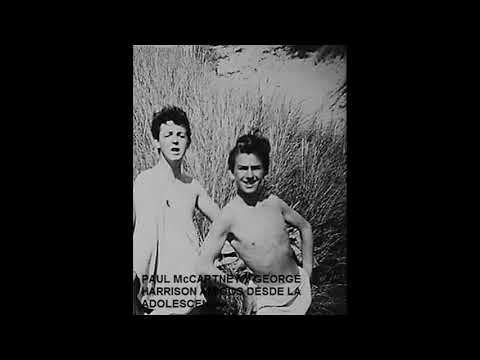 Nothing shaking video