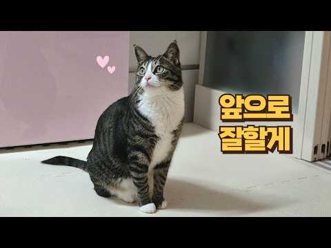 퇴원하고 온 큰언니에게 최고의 선물을 준 보름이 진짜 감동했어요