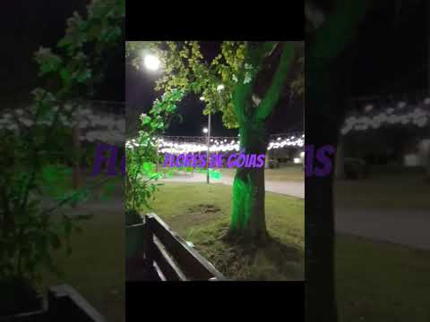 praça de flores de Góias