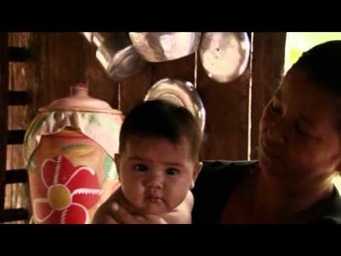 Amazonia. Cud narodzin [Seria: Szokująca Ziemia]