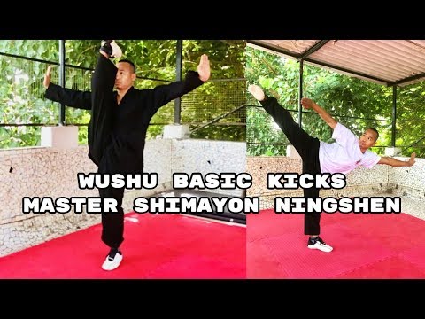 Wushu Kick Basics | Master Shimayon Ningshen