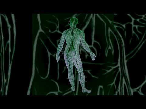 Institut de Radio Protection - Institutet / Depleted Uranium