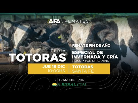 Remate AFA Especial de Invernada y Cría desde Totoras Santa Fe