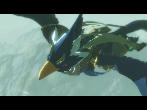Hyrule Warriors Age of Calamity | All Revali finishers (special and weak points)