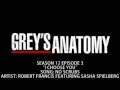 Grey's Anatomy S12E03 - No Scrubs by Robert ...