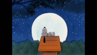 Eeyore and Snoopy's Bedtime GIF (Version 3)