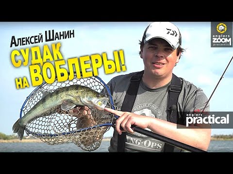 Фото Как ловить судака на воблеры днем? Алексей Шанин. Anglers Practical