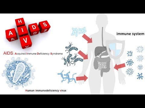 HIV virus life cycle and its entry in the host cell