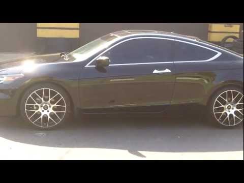 Accord on stagg Niche 20s.