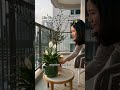 Balcony greens hit different 🌿