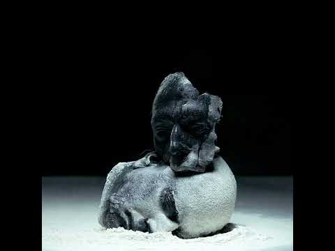 Belief Defect - No Future