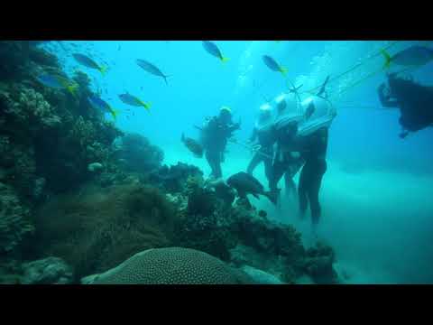 Underwater drone at home with Seawalker Green Island