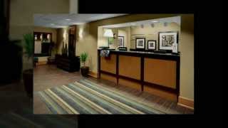 preview picture of video 'Collierville TN Hotels - Hampton Inn Collierville Tennessee Hotel'