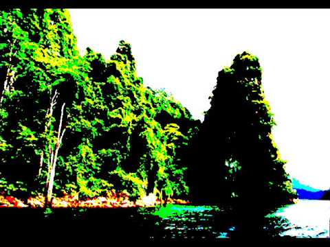 DJ Deelight - Jungle Drum Mix