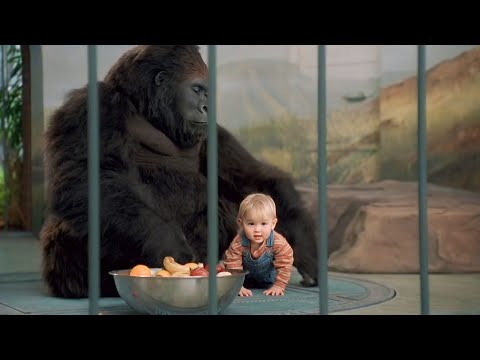 You got long arms 🤣🦍 - Baby's Day Out (1994)