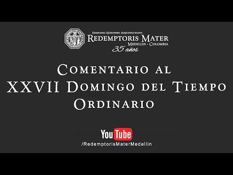 Commentary on the 27th Sunday in Ordinary Time