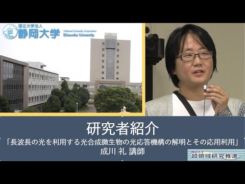 第10回超領域研究会「長波長の光を利用する光合成微生物の光応答機構の解明とその応用利用」 成川 礼 講師(理学) - 静岡大学【研究者紹介】