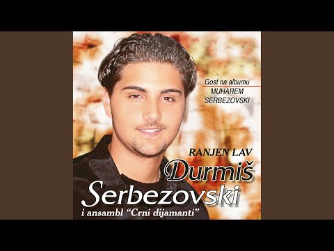 Više neću da te volim