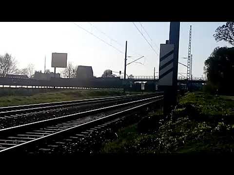 Feuerwehr Wittenberg Altstadt HLF+DLK Einsatz Wohnungsbrand