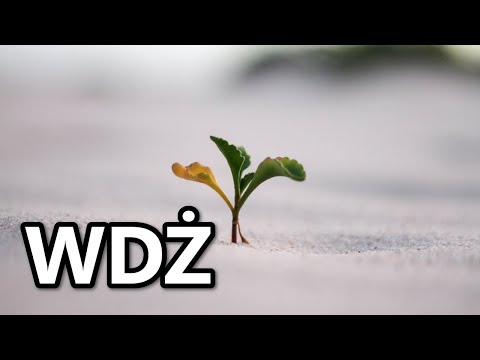 WDŻ - Dojrzewam do męskości i kobiecości