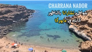 المناظر تُذكّرك بشواطئ مايوركا 🤩 شواطئ تشارانا أحد الكنوز الخفية من أجمل شواطئ المغرب Charrana Nador
