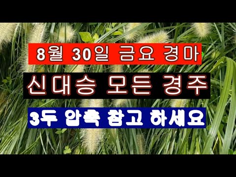 8/30금요일- 대승- 제주.부산 경마 예상 방송 추천마 들이 도움 되었으면 좋겠습니다?
