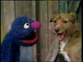 Classic Sesame Street Grover And Queenie Part 1