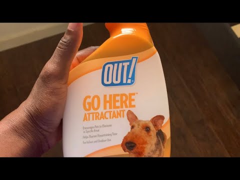 image-Is out Petcare good for dogs?