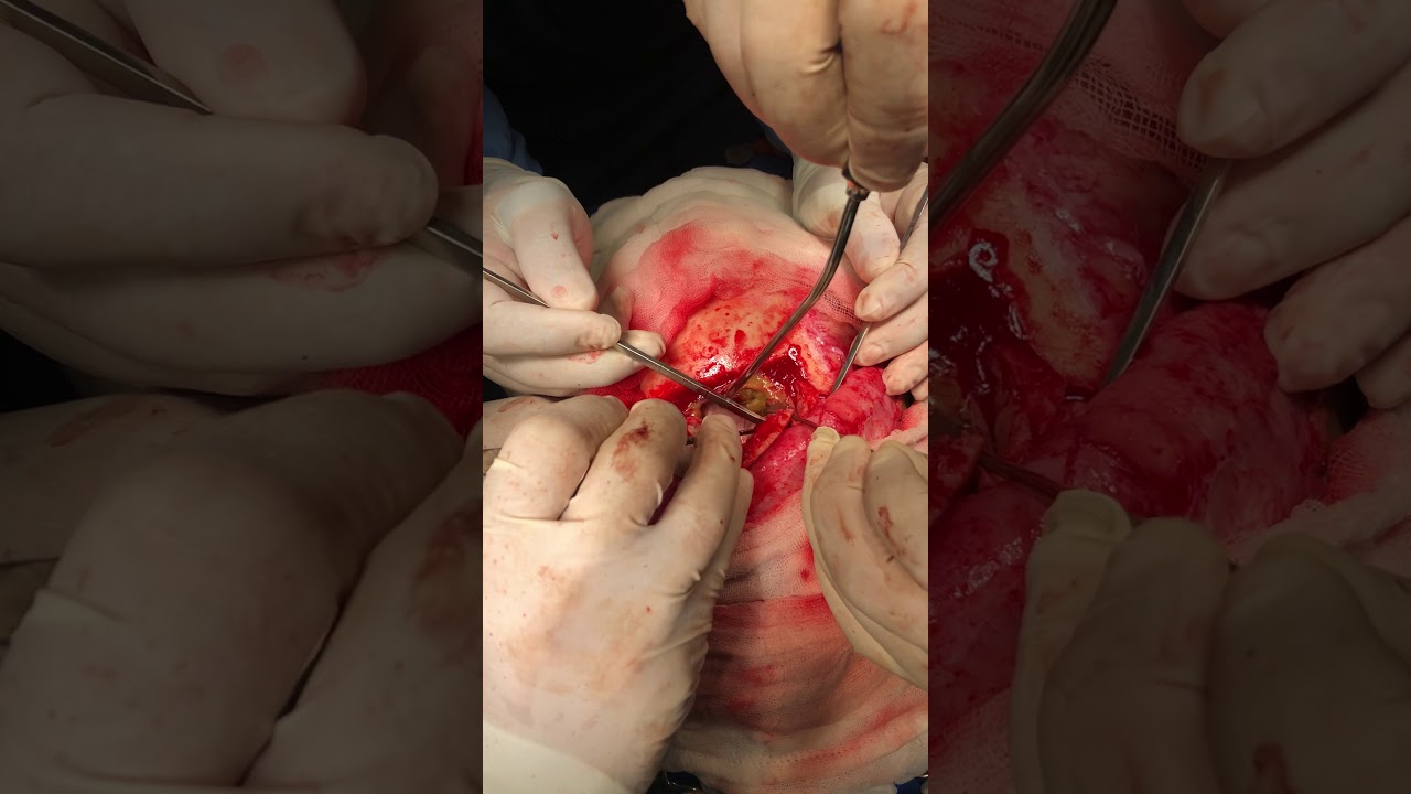 Alejandro Jimenez Garcia-65